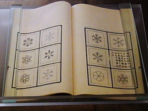 9sekka3土井利位雪華図説.jpg