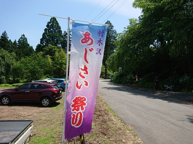 1aji0村木沢あじさい祭り.jpg