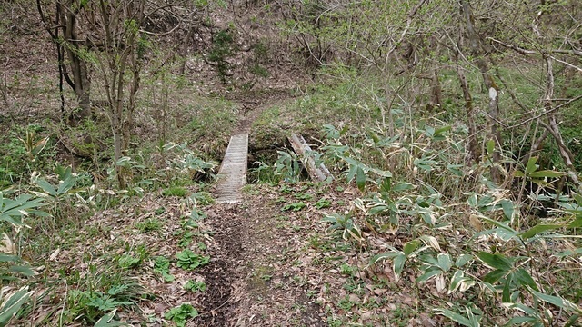 2kama44橋.jpg