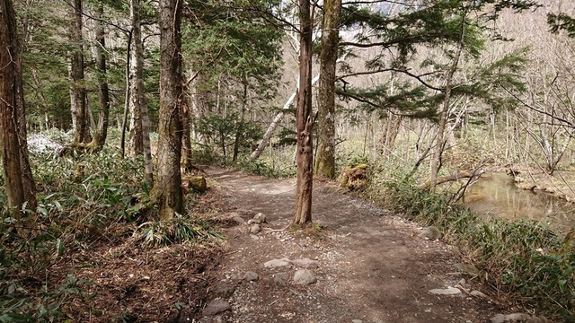2kami50上流へ.jpg