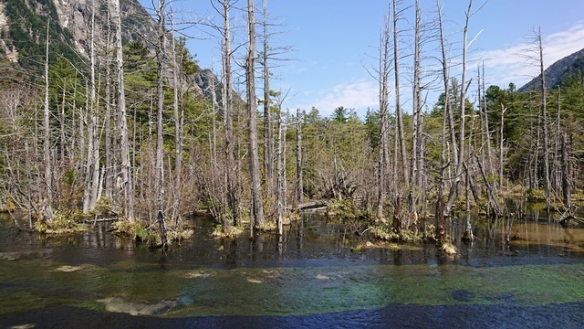 2kami52岳沢湿原付近から.jpg