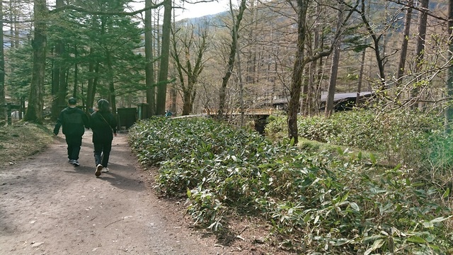 2kami62梓川左岸道小梨平.jpg