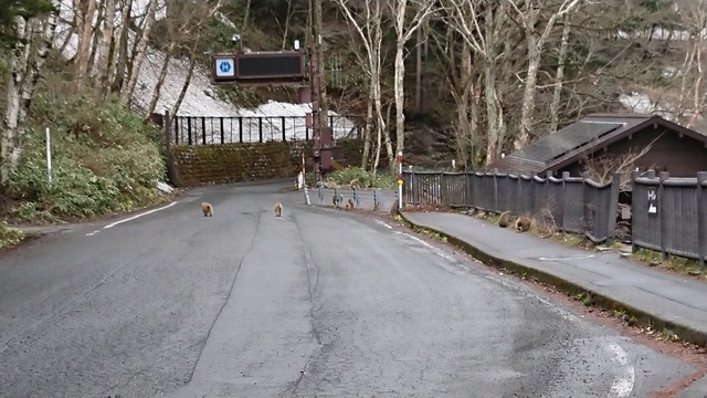 2kami70バス来るよ.jpg