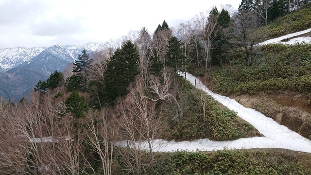 2kami78雪の登山道.jpg