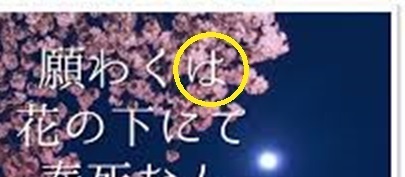 2nega3は.jpg