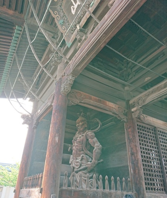 2zen10左.jpg