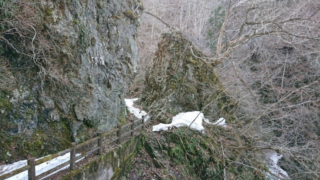3akayu22遊歩道.jpg