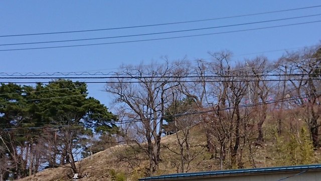 3akayu2烏帽子山公園.jpg