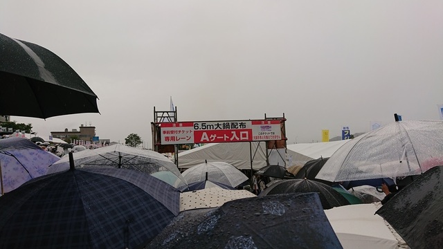 3imo6umbrella.jpg