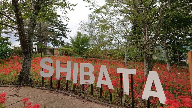 3man13shibata.jpg