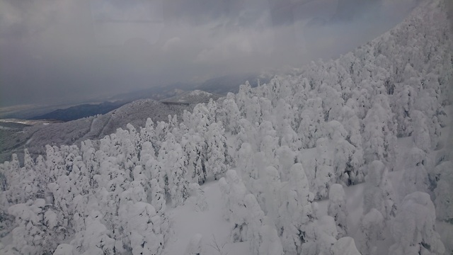3zao14スノーモンスターたち.jpg