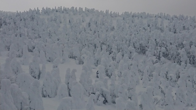 3zao23遠景.jpg