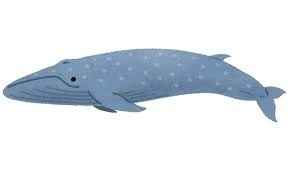 4kujira.jpg
