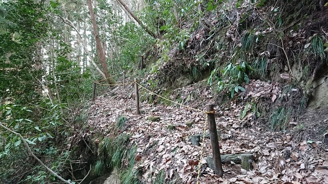 7iwagami9山道.jpg