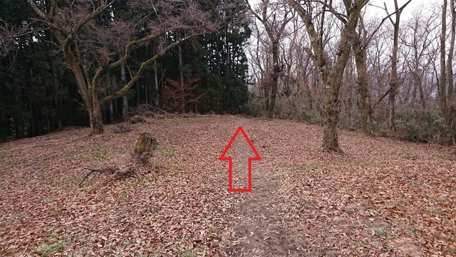 8shin25下山.jpg