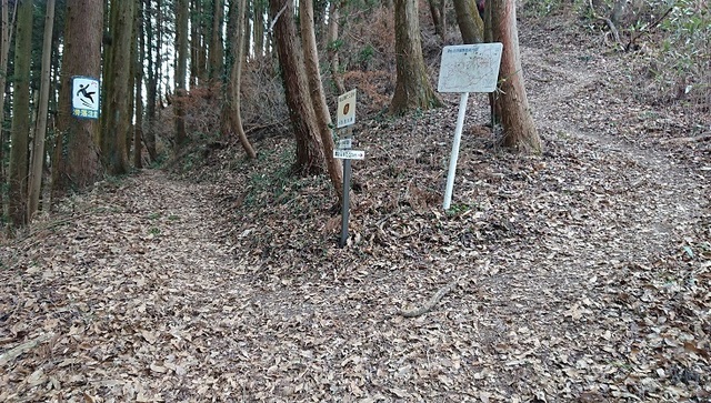 8shin26鷹討山へ.jpg